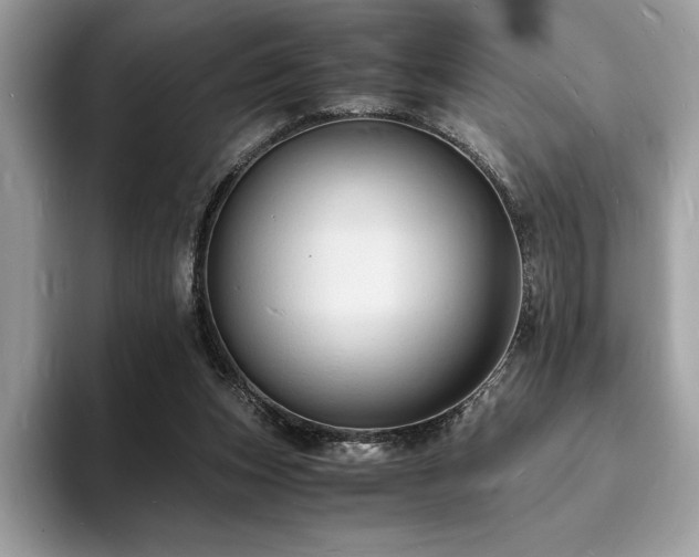 X0000094060159200710191108