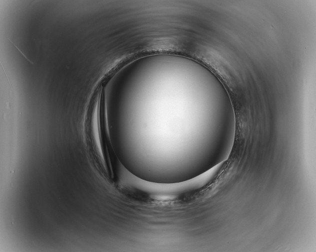 X0000094060160200710191108