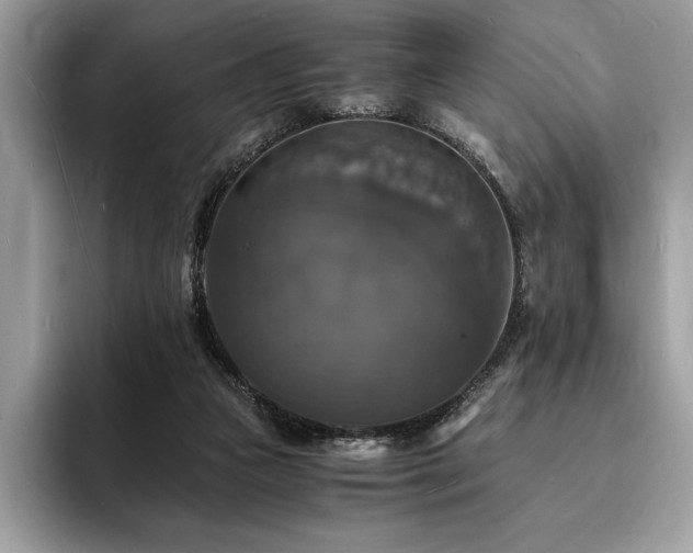 X0000094060161200710191108