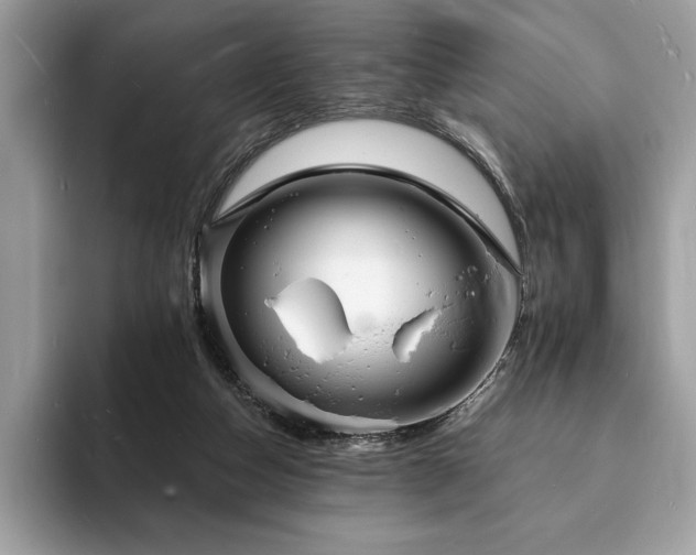 X0000094060162200710191108