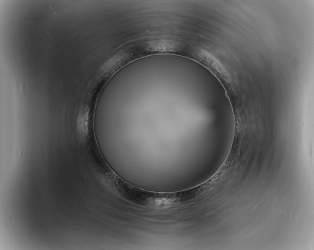 X0000094060163200710191108