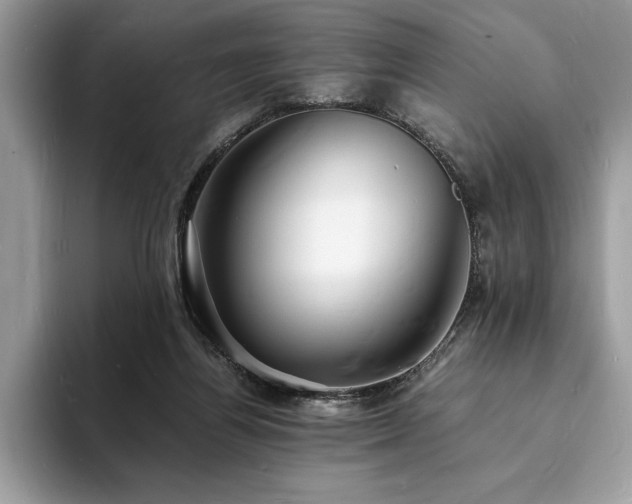 X0000094060164200710191108
