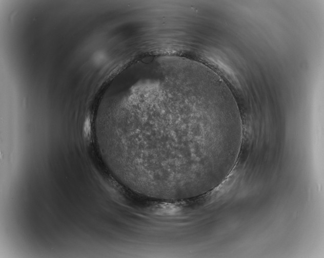 X0000094060166200710191108