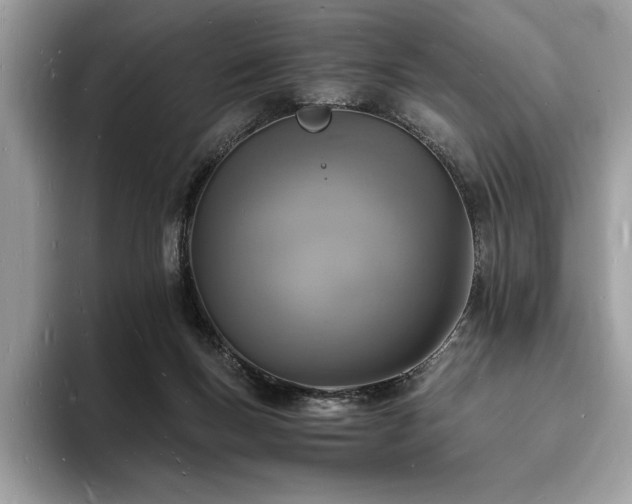 X0000094060167200710191108
