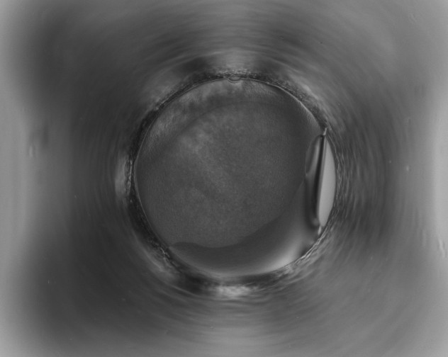 X0000094060168200710191108