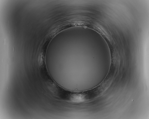 X0000094060169200710191108