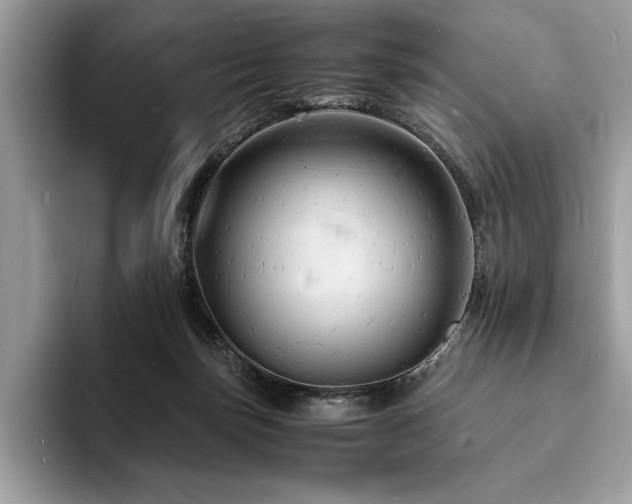 X0000094060171200710191108