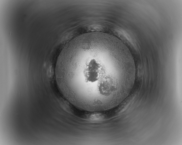 X0000094060173200710191108