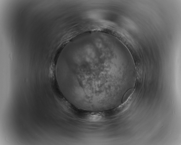 X0000094060175200710191108