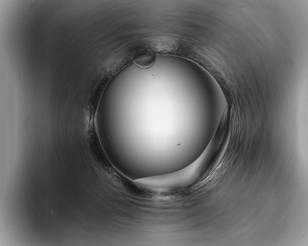 X0000094060176200710191108