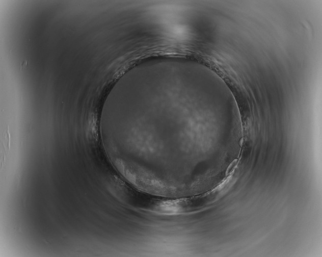 X0000094060178200710191108