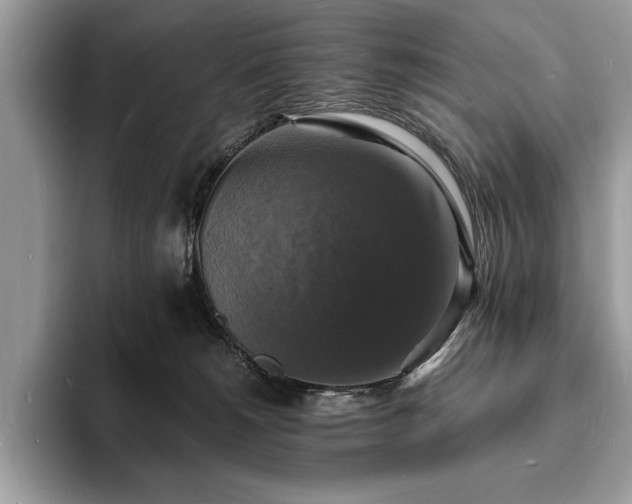 X0000094060180200710191108