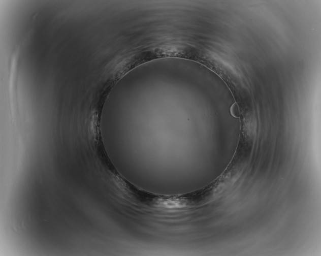 X0000094060181200710191108