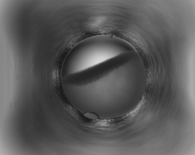 X0000094060182200710191108