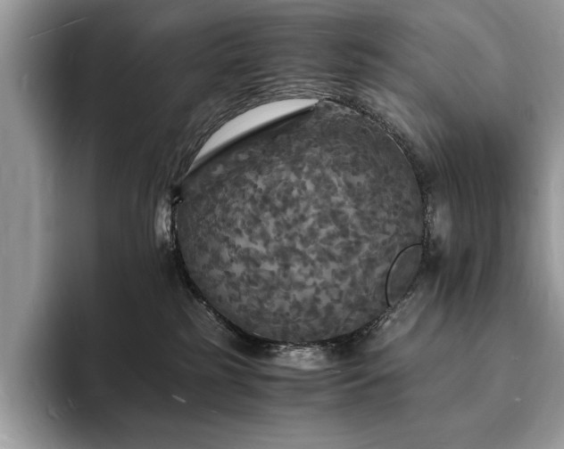 X0000094060185200710191108