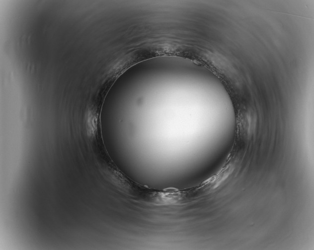 X0000094060188200710191108