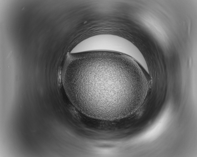 X0000094060190200710191108