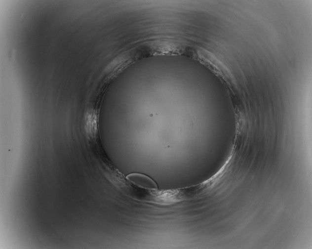 X0000094060191200710191108