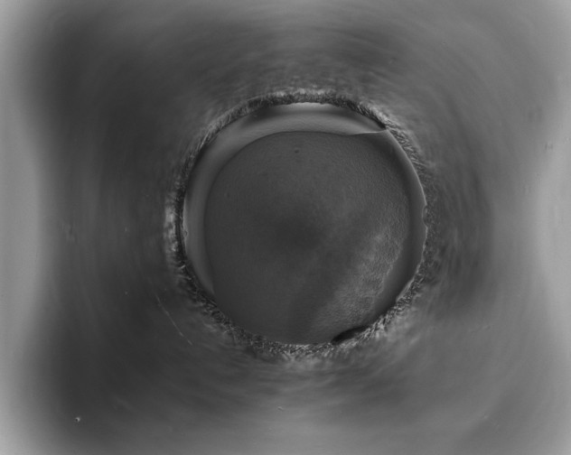 X0000094060192200710191108
