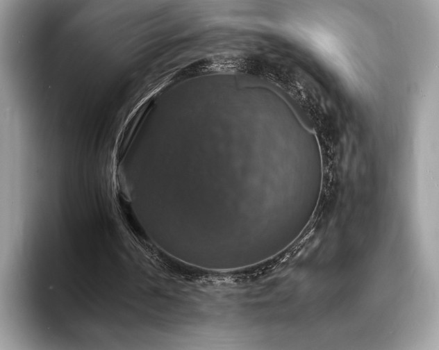 X0000094060194200710191108