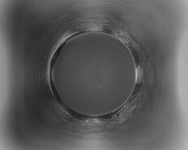 X0000094060195200710191107