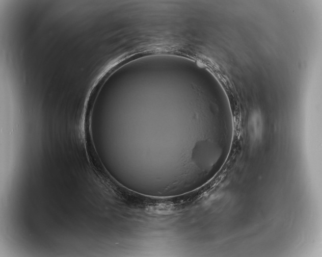 X0000094060196200710191107