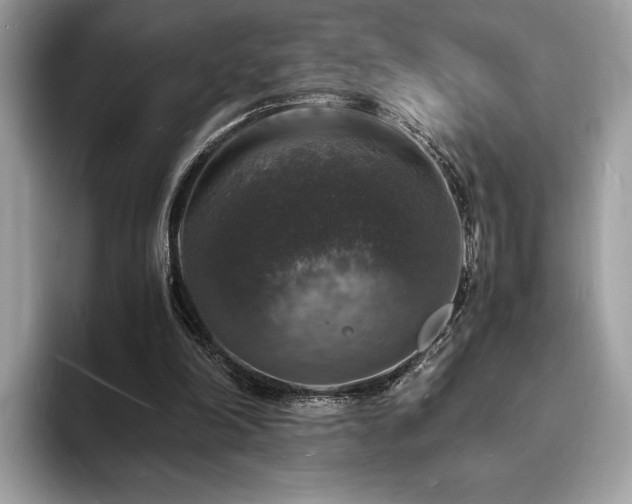 X0000094060198200710191107