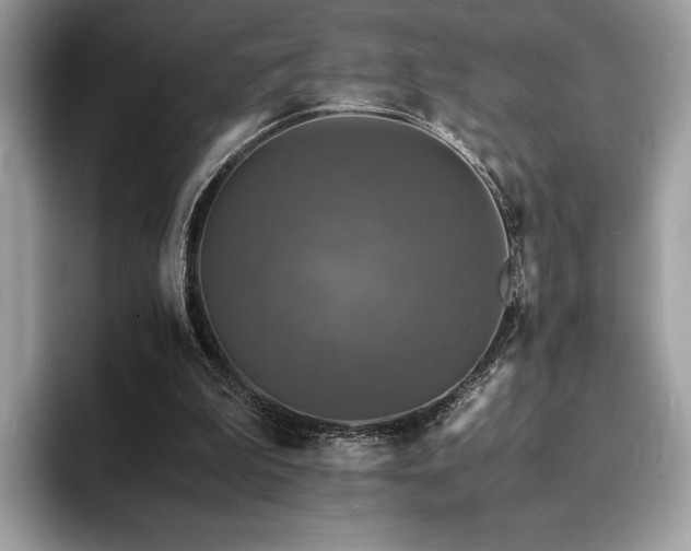 X0000094060199200710191107