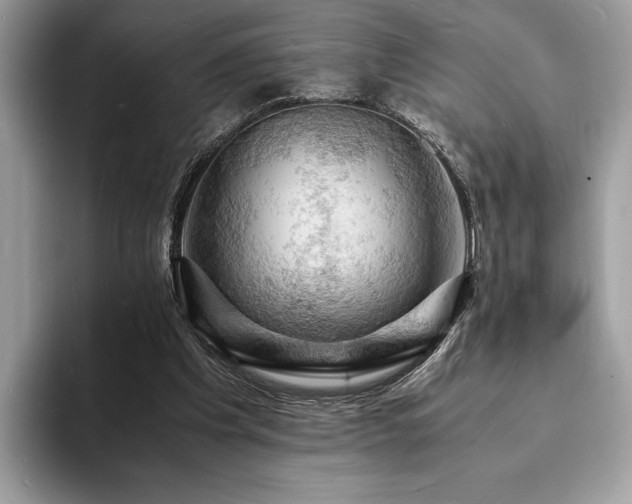 X0000094060201200710191107