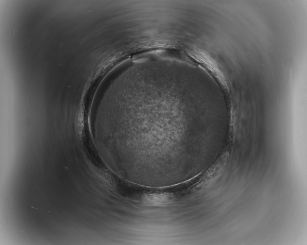 X0000094060202200710191107