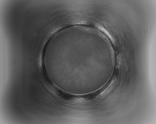 X0000094060203200710191107