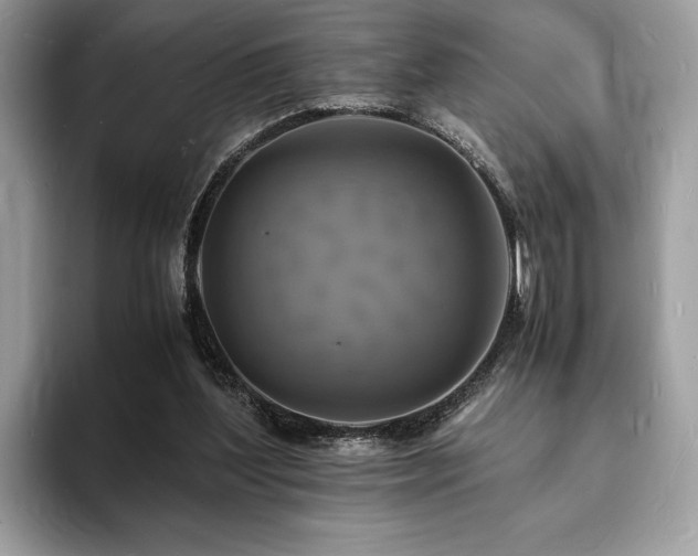 X0000094060204200710191107