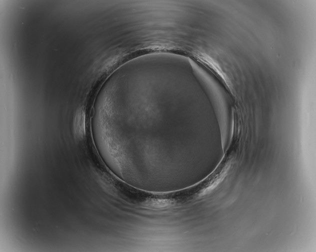 X0000094060205200710191107