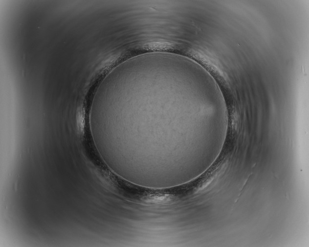X0000094060206200710191107