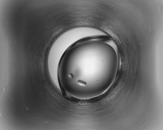 X0000094060207200710191107