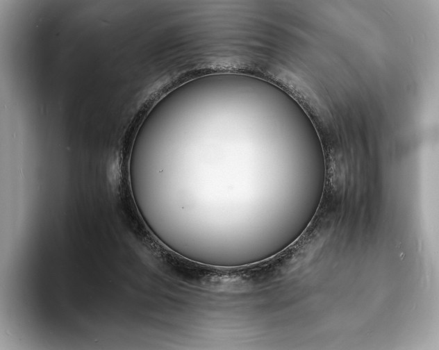 X0000094060208200710191107