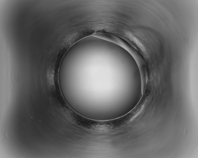 X0000094060209200710191107