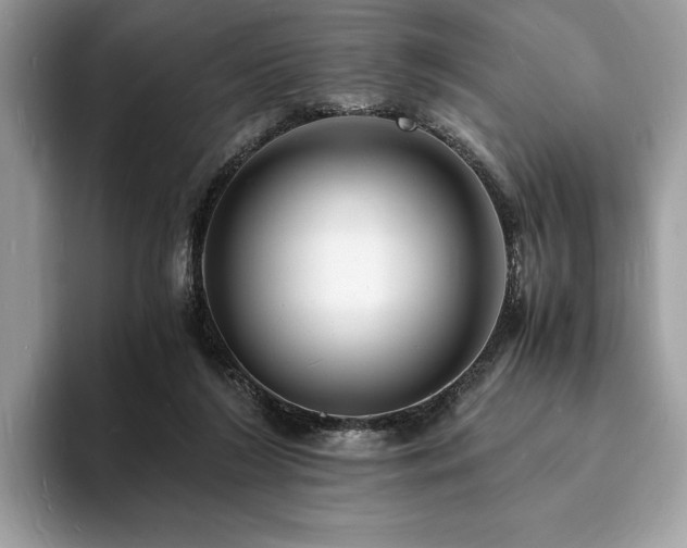 X0000094060212200710191107