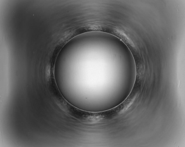 X0000094060213200710191107