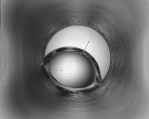 X0000094060215200710191107