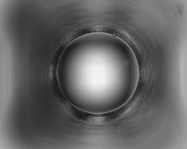 X0000094060217200710191107