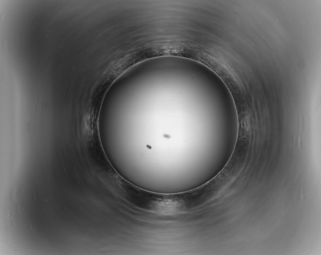 X0000094060218200710191107