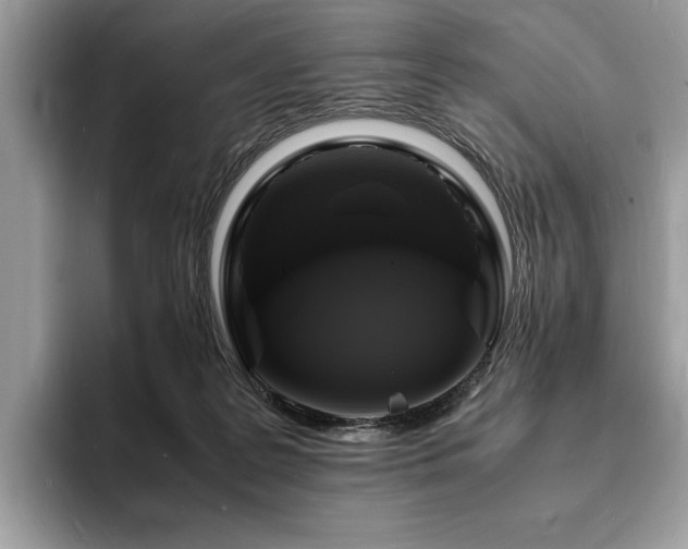 X0000094060219200710191107