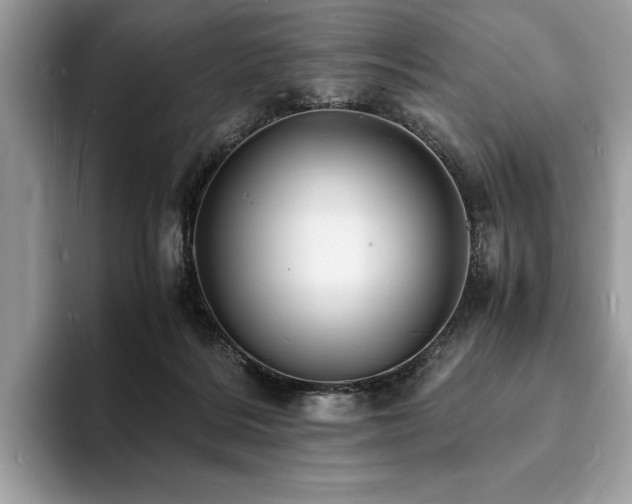 X0000094060220200710191107