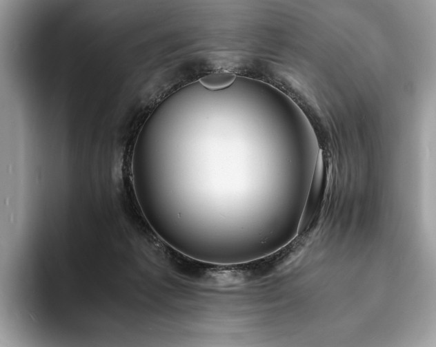 X0000094060221200710191107