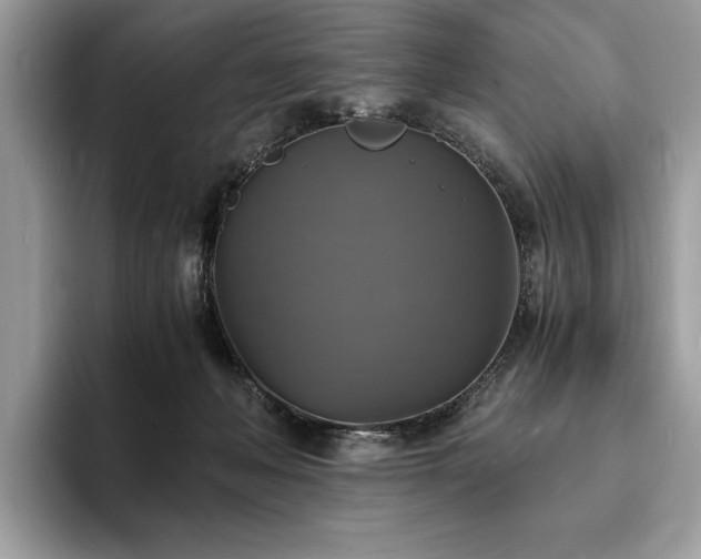 X0000094060222200710191107