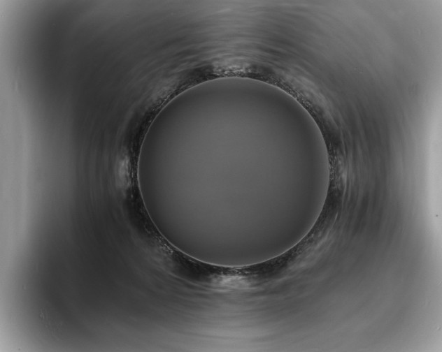 X0000094060224200710191107