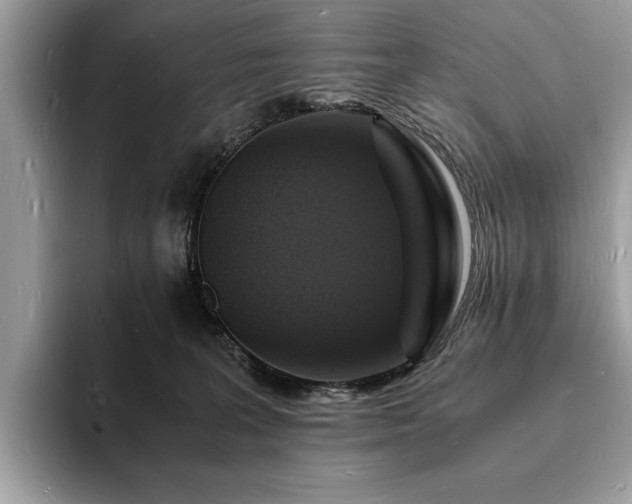 X0000094060227200710191107