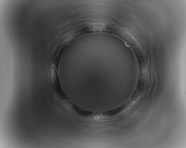 X0000094060228200710191107