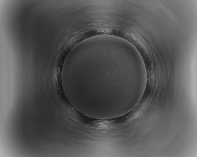 X0000094060229200710191107